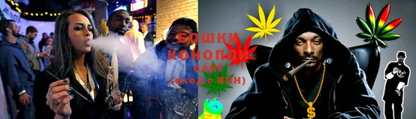 ECSTASY Бронницы