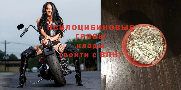 эйфоретик Бородино